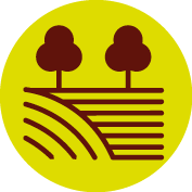Ackerland / Obstkulturen
